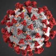 virus-graphic